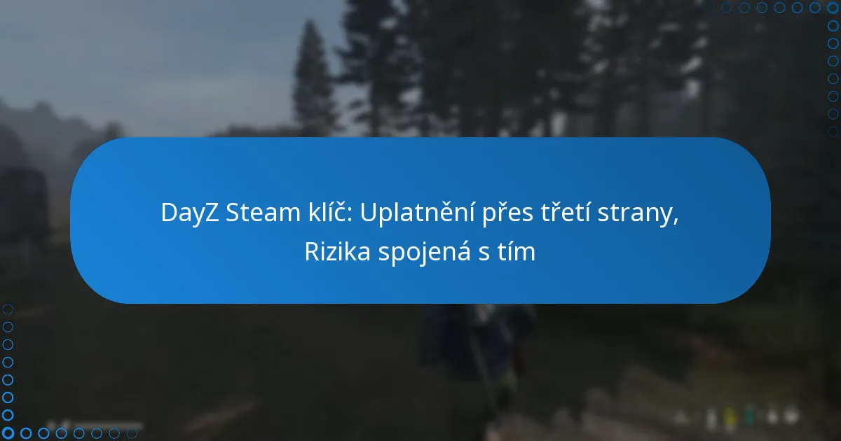 DayZ Steam klíč: Uplatnění přes třetí strany, Rizika spojená s tím