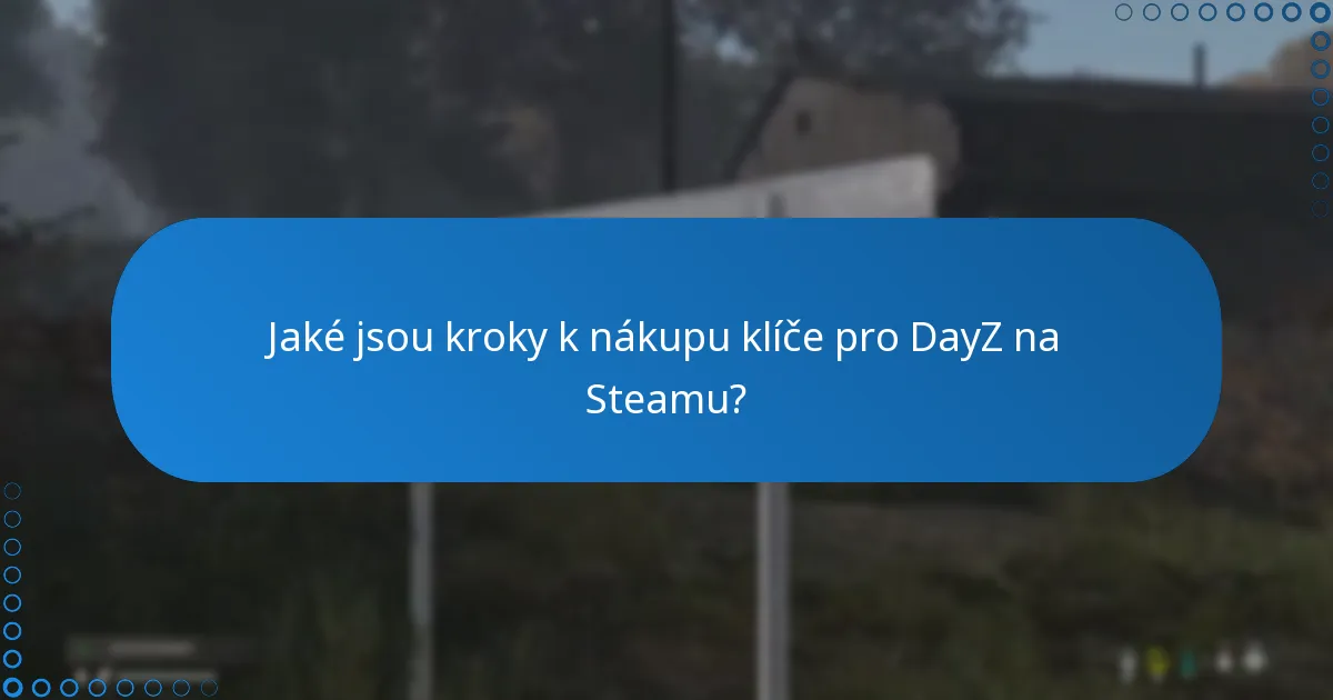 Jaká jsou rizika spojená s nákupem klíče pro DayZ na Steamu?