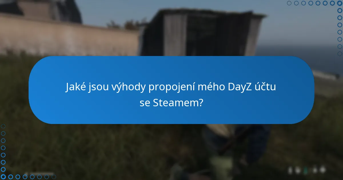 Co znamená ověření v kontextu uplatnění DayZ Steam klíče?